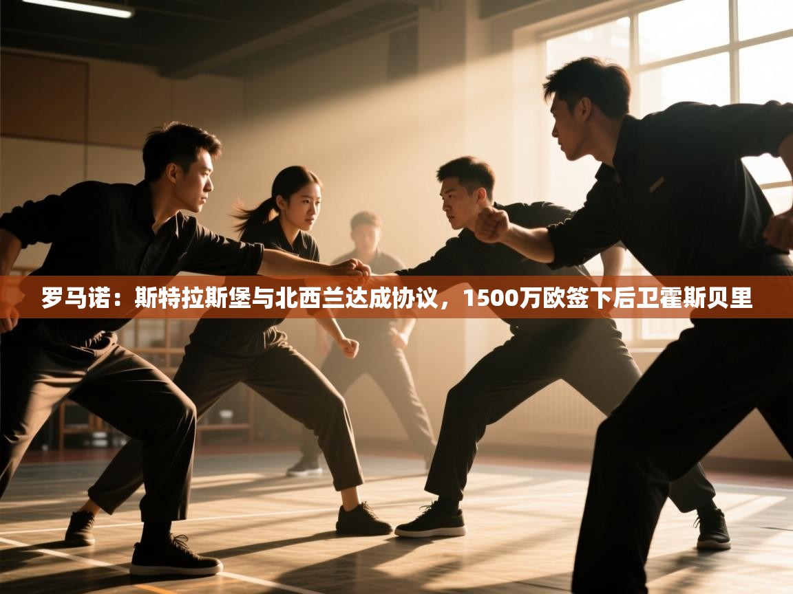 罗马诺:斯特拉斯堡与北西兰达成协议,1500万欧签下后卫霍斯贝里 第1张