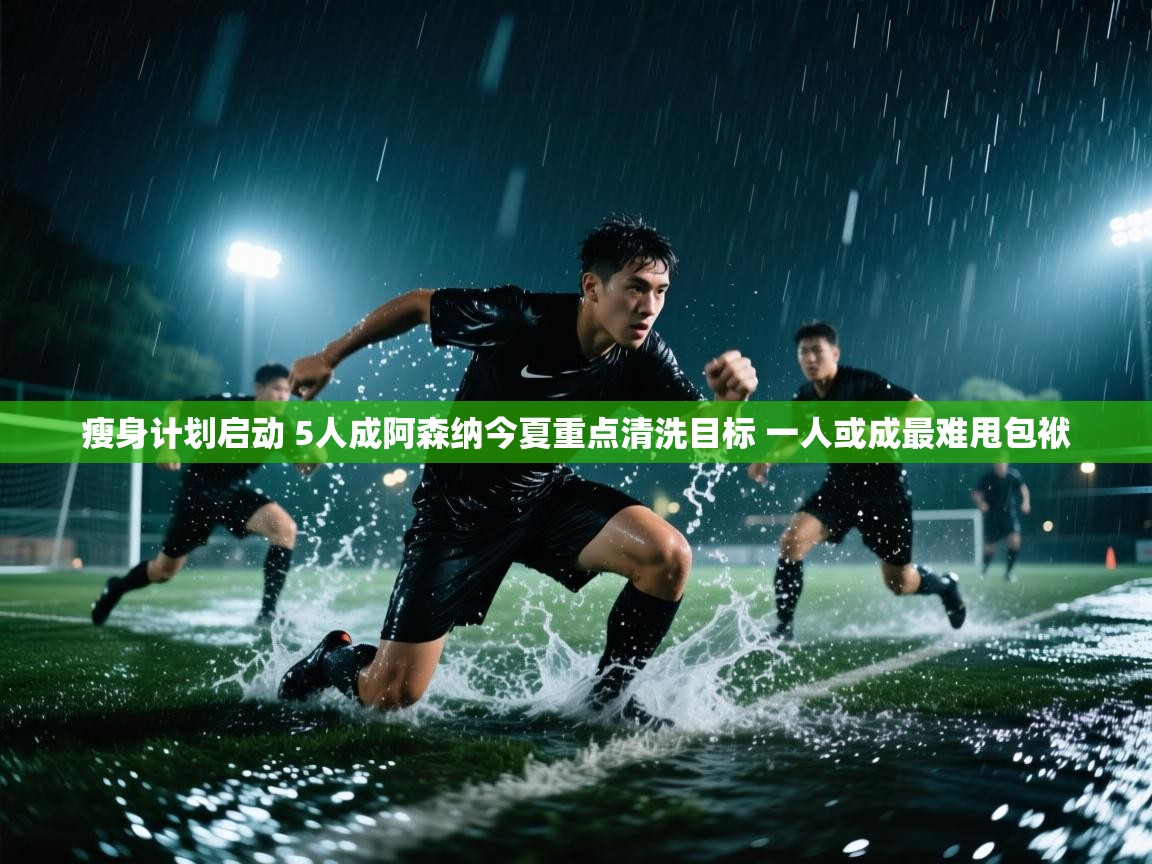 瘦身计划启动 5人成阿森纳今夏重点清洗目标 一人或成最难甩包袱  第1张