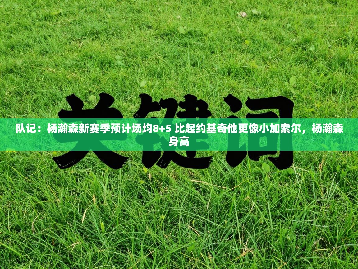 队记：杨瀚森新赛季预计场均8+5 比起约基奇他更像小加索尔，杨瀚森身高