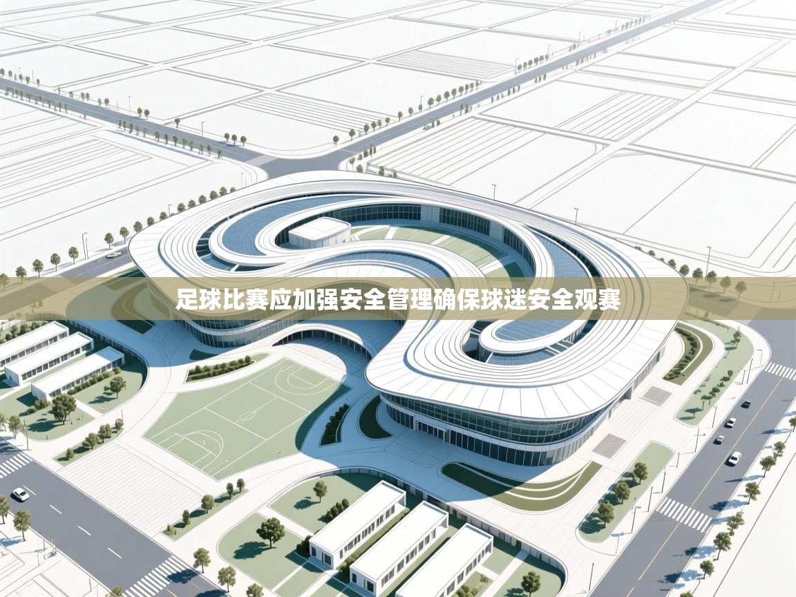 足球比赛应加强安全管理确保球迷安全观赛
