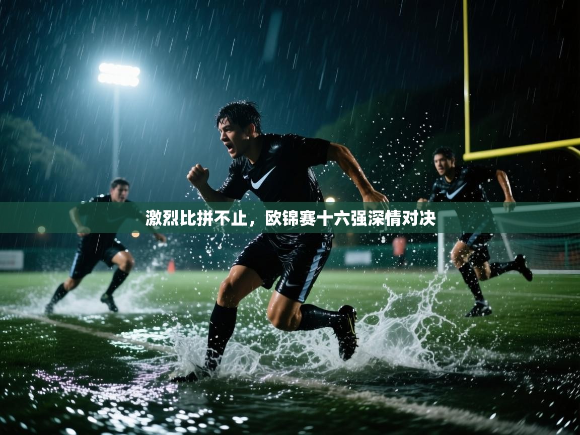 激烈比拼不止，欧锦赛十六强深情对决  第1张