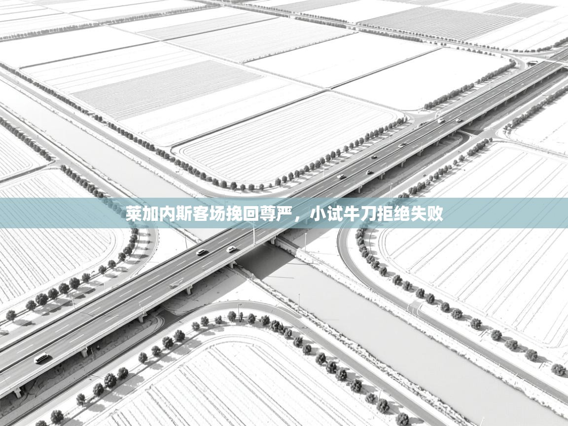 莱加内斯客场挽回尊严，小试牛刀拒绝失败  第2张