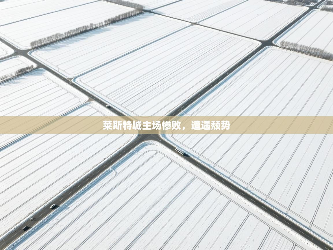 莱斯特城主场惨败，遭遇颓势  第2张