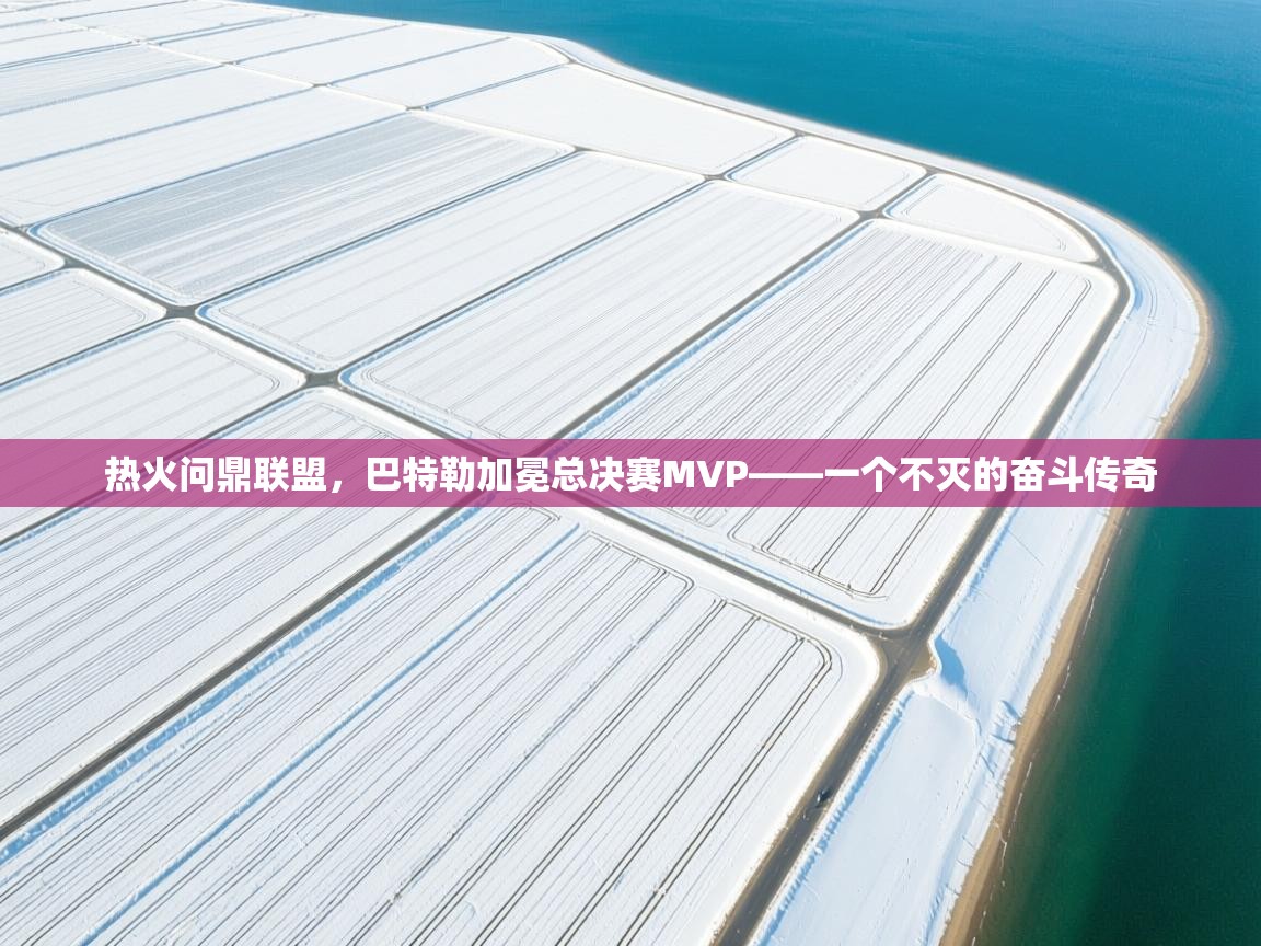 热火问鼎联盟，巴特勒加冕总决赛MVP——一个不灭的奋斗传奇  第1张